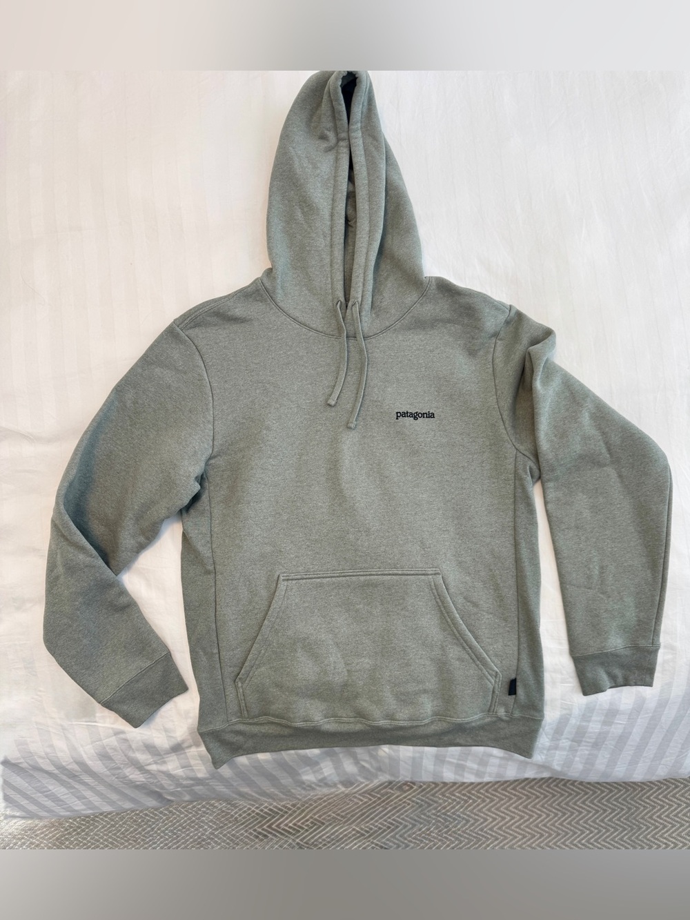 Patagonia Men's Medium (women’s large) Pullover Hoodie in Sage Gray NWOT